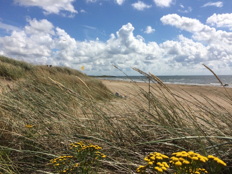 Skrea Strand 16