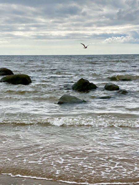 Skrea Strand 48