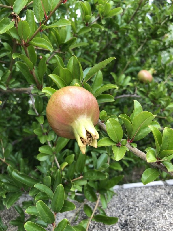 Kroatien 217