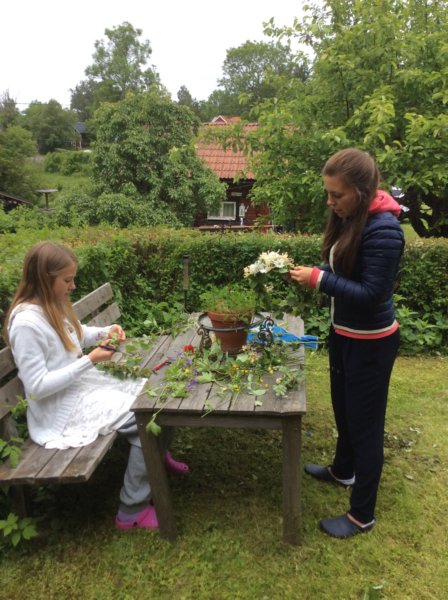 Väddö 10