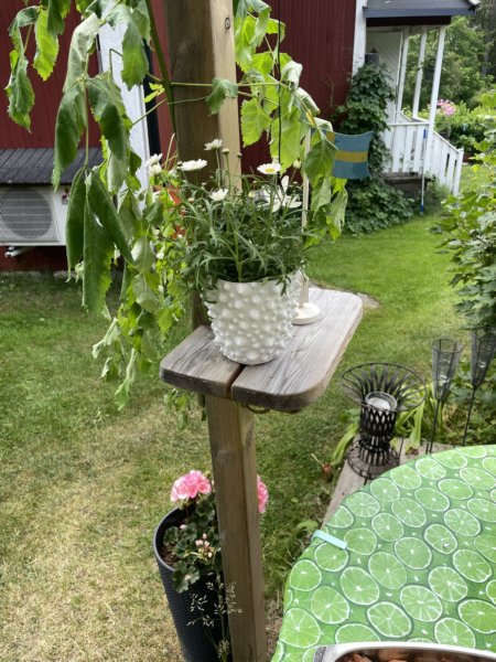 Väddö 13