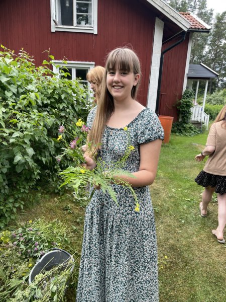 Väddö 4