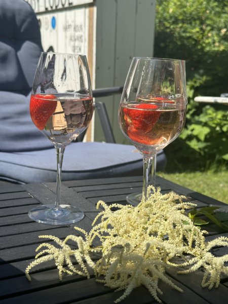 Väddö 12