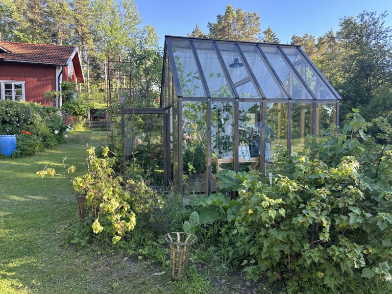 Väddö 39