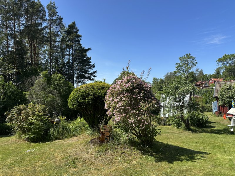Väddö 77
