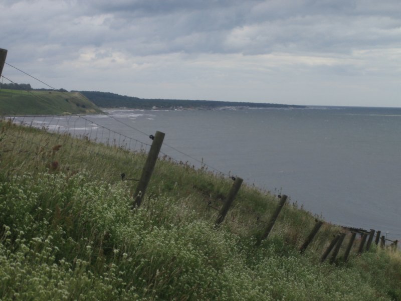 Skåne 24