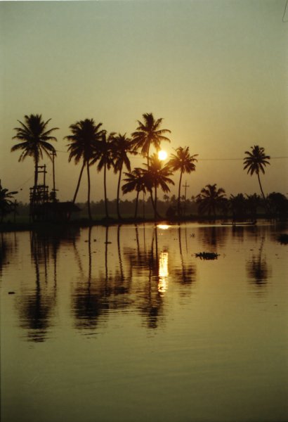 Sri Lanka·Indien 40